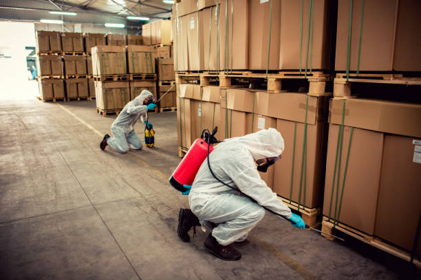 Professional Pest Control in Sunrise Beach Village, TX