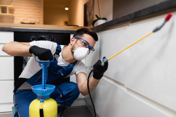 Best Best Pest Control Companies  in Sunrise Beach Village, TX