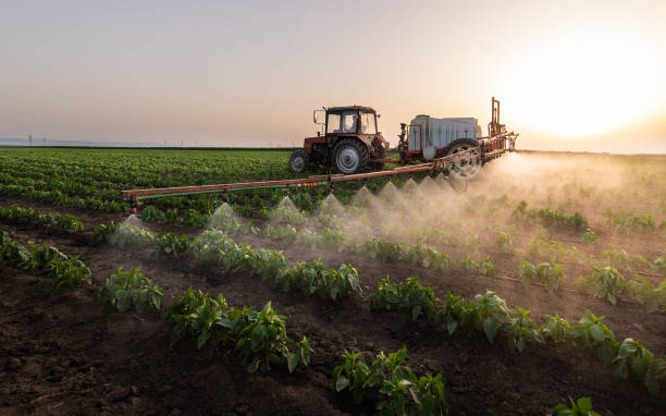 Best Commercial Pest Control Services  in Sunrise Beach Village, TX