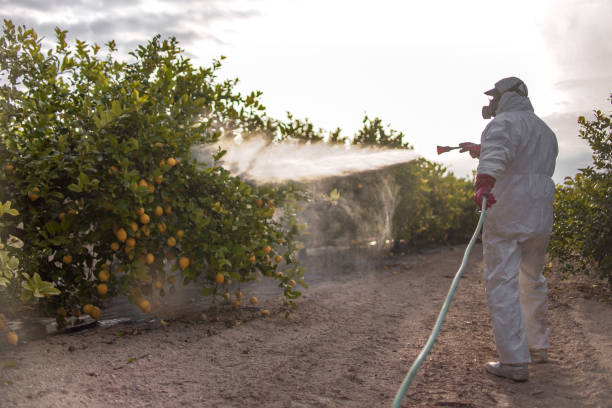 Best Commercial Pest Control Services  in Sunrise Beach Village, TX