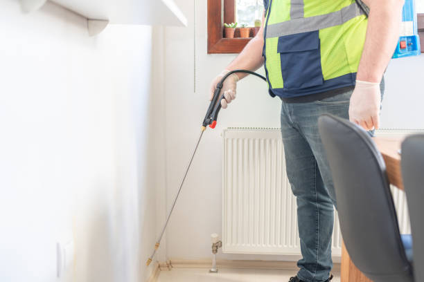 Best Mosquito Control Services  in Sunrise Beach Village, TX
