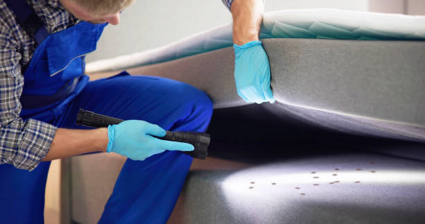 Best Exterminator Services  in Sunrise Beach Village, TX