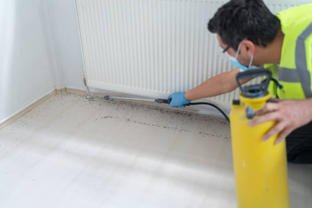 Professional Pest Control in Sunrise Beach Village, TX